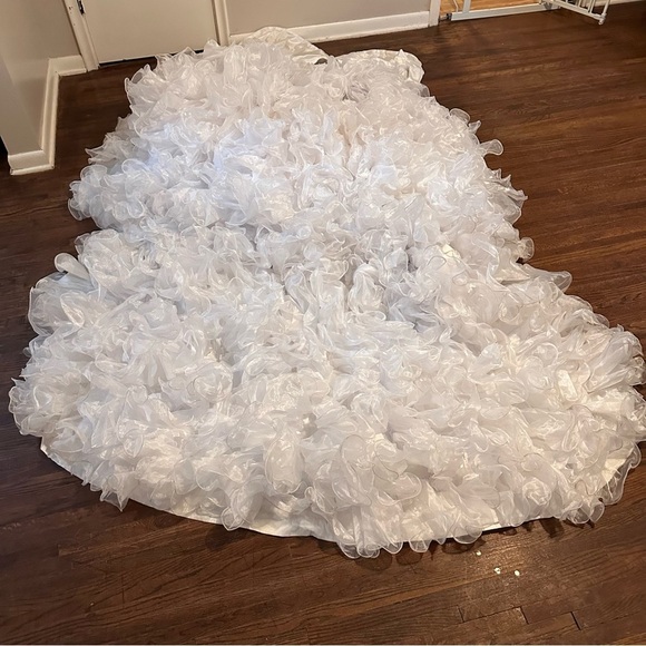 Quinceañera Adán Terriquez Additional Pictures Dress & Train Detail - Picture 4 of 17